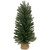18" Traditional Scottsdale Mini Pine Artificial Christmas Tree with Burlap, Unlit